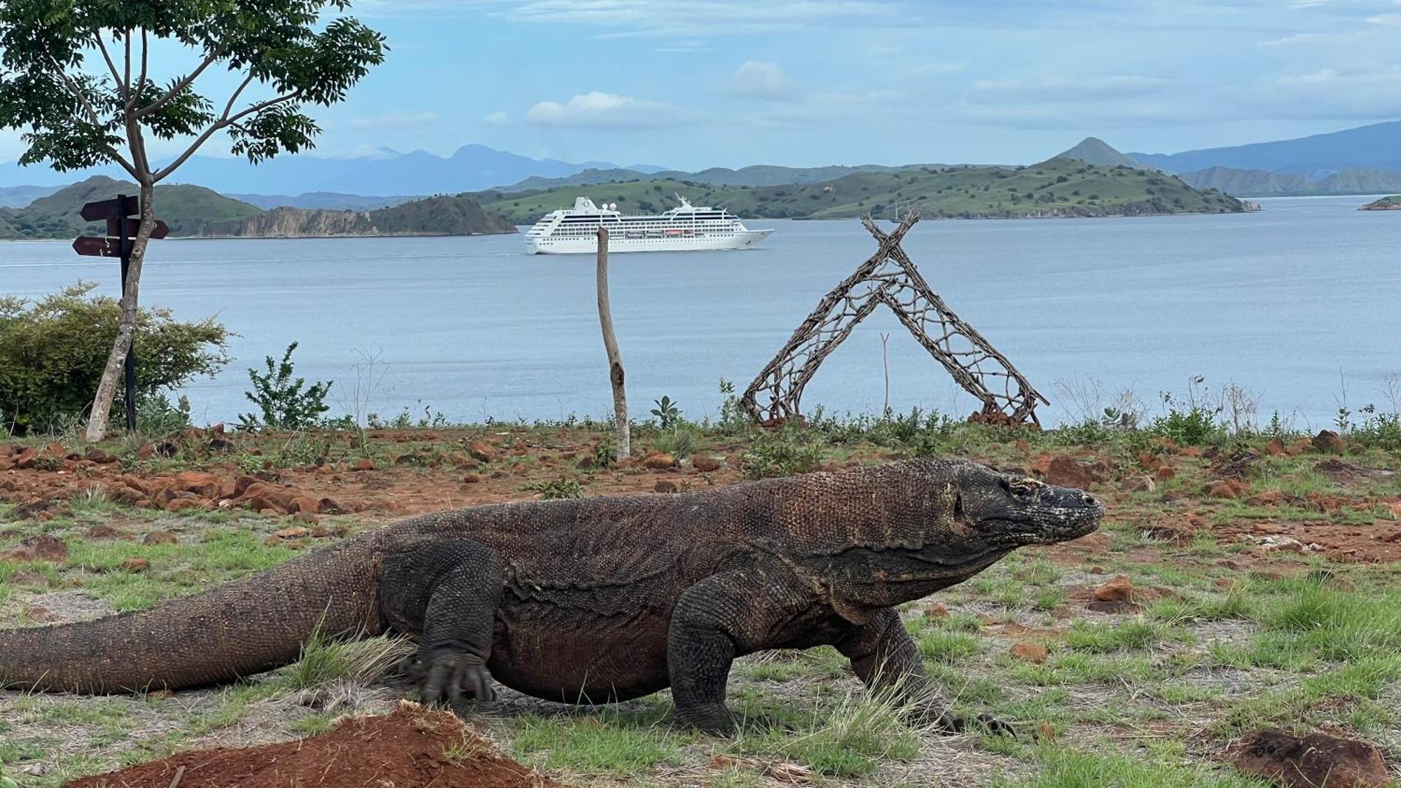 Jhuna Komodo Homestay Exterior foto